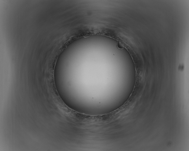 X0000093380865200710111453