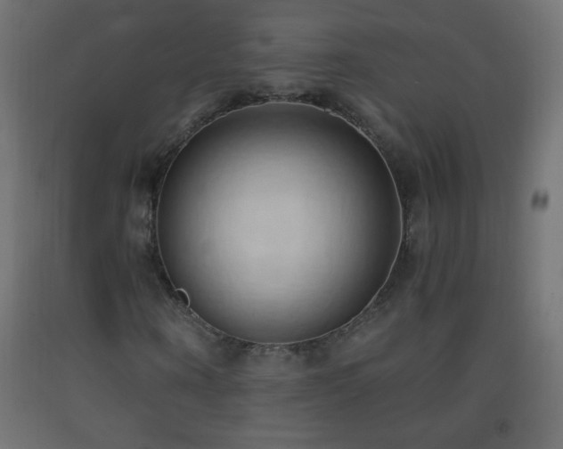 X0000093380866200710111453