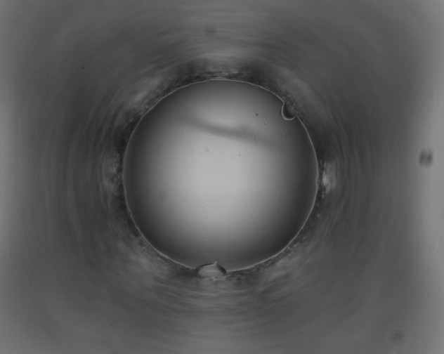 X0000093380867200710111453
