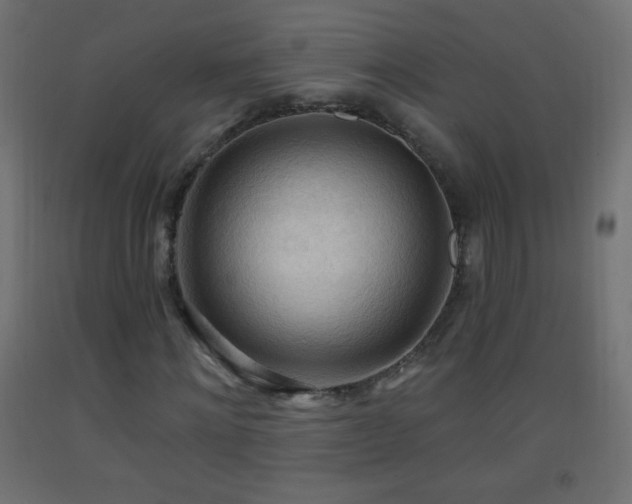 X0000093380868200710111453