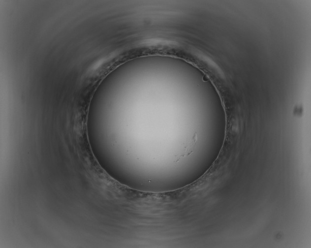 X0000093380869200710111453