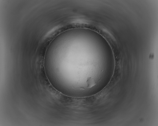 X0000093380870200710111453