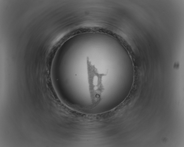 X0000093380871200710111453