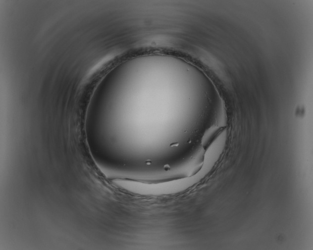 X0000093380872200710111453