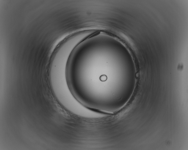 X0000093380875200710111453