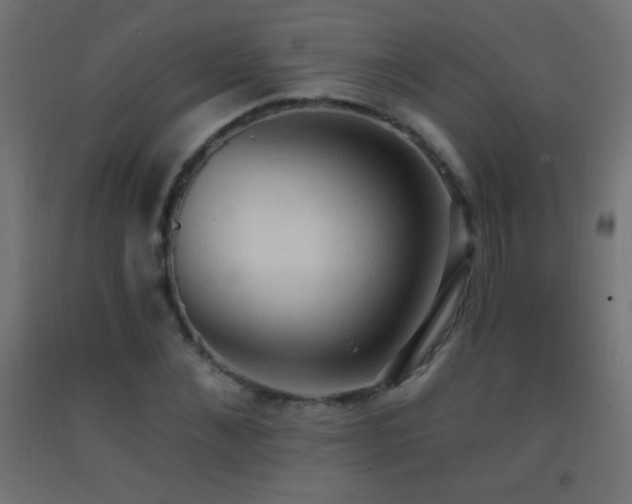 X0000093380876200710111453