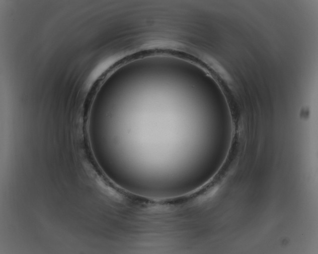 X0000093380877200710111453