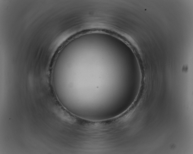 X0000093380879200710111453