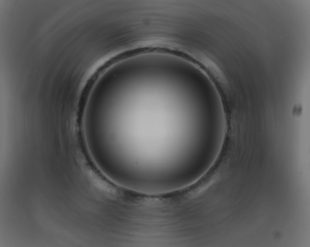 X0000093380880200710111453