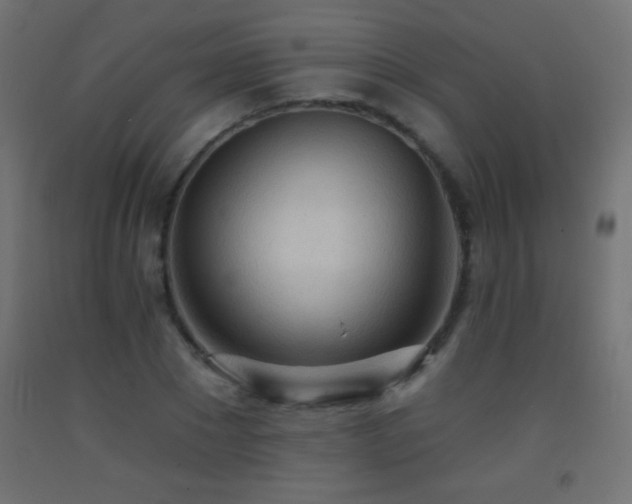 X0000093380881200710111453