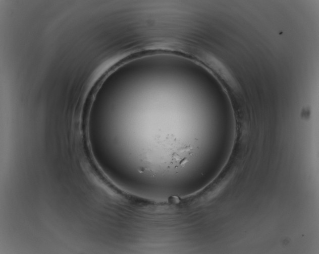 X0000093380884200710111453