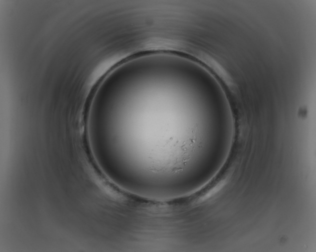 X0000093380885200710111453
