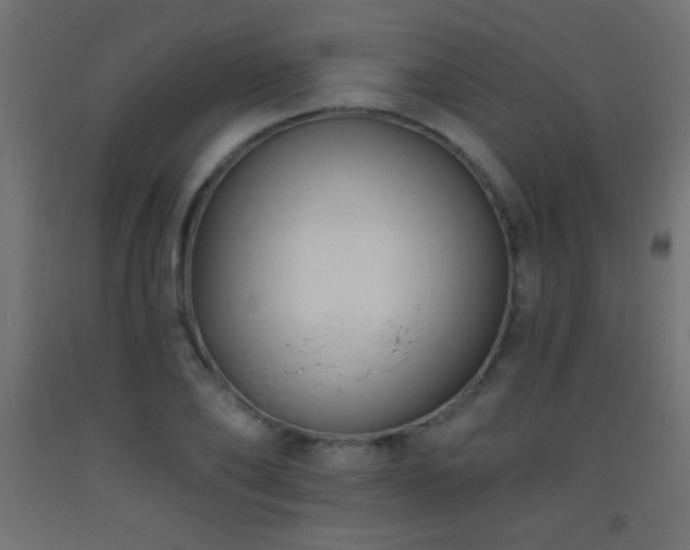 X0000093380886200710111453