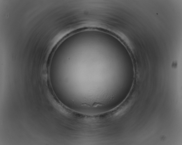 X0000093380887200710111453
