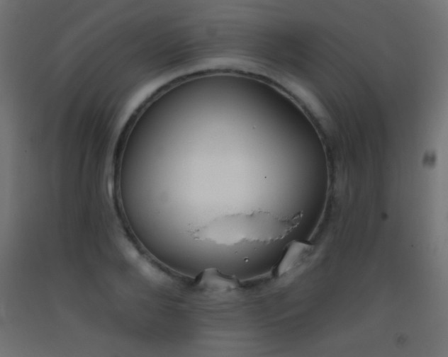 X0000093380888200710111453