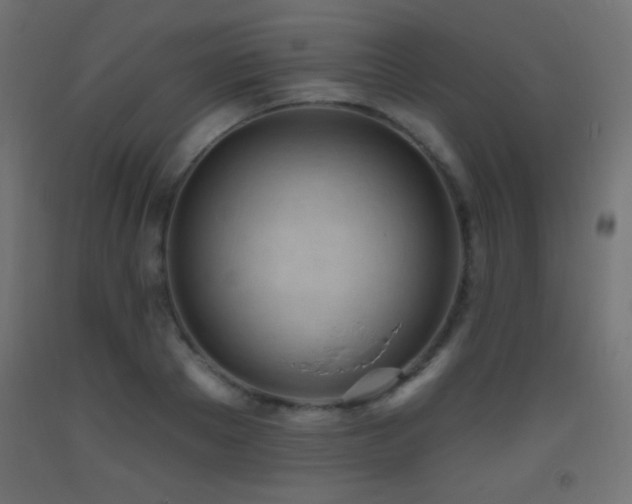 X0000093380889200710111453