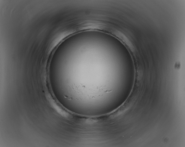 X0000093380890200710111453