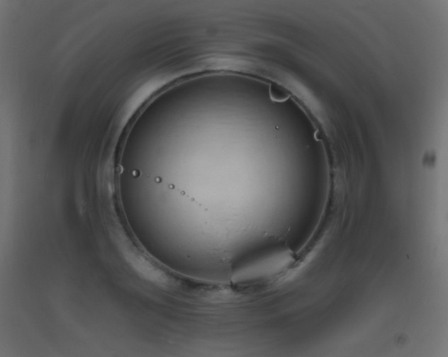X0000093380891200710111453