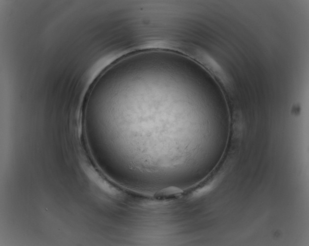 X0000093380892200710111453