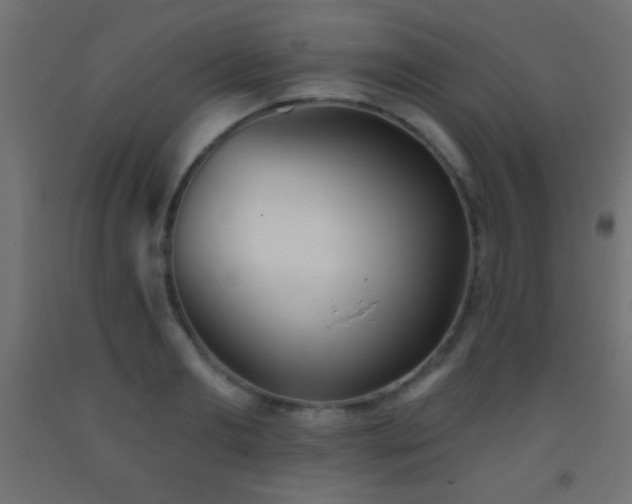 X0000093380893200710111453
