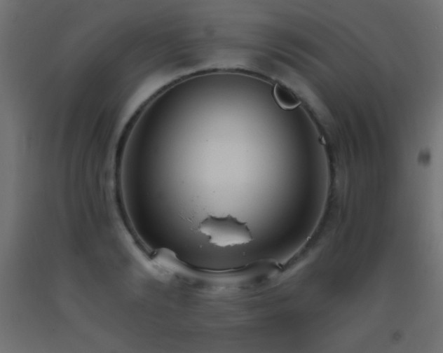 X0000093380894200710111453