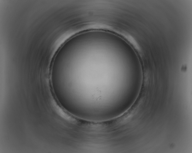 X0000093380895200710111453