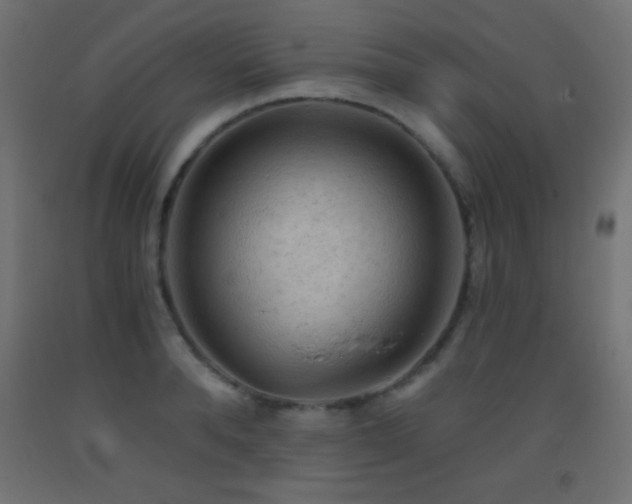 X0000093380896200710111453