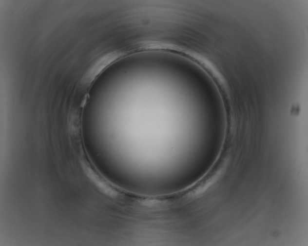 X0000093380897200710111453