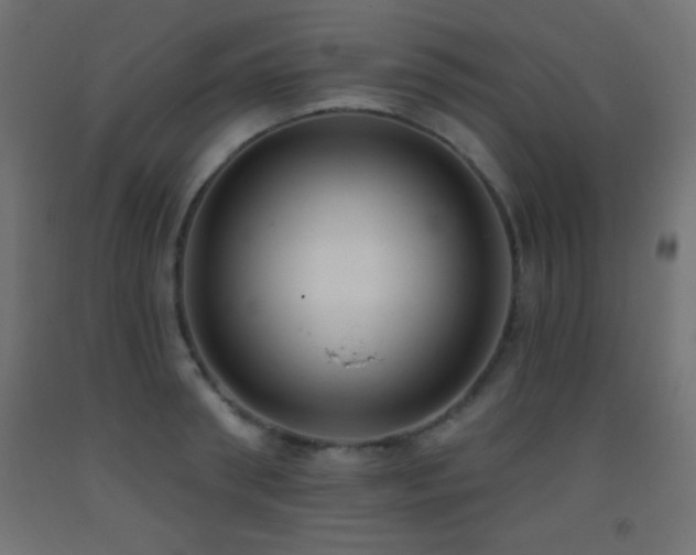 X0000093380898200710111453