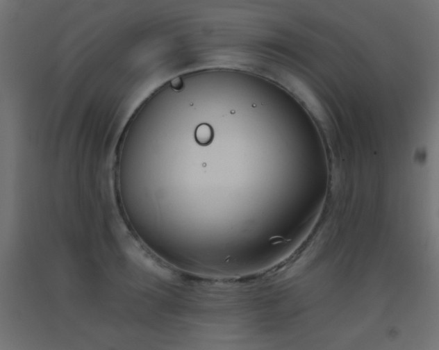 X0000093380899200710111453