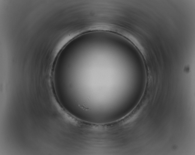 X0000093380901200710111453