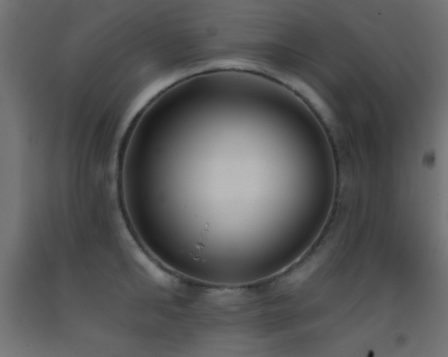 X0000093380902200710111453