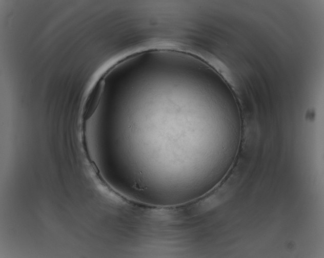 X0000093380904200710111453