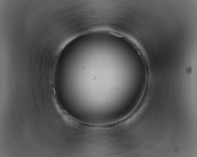 X0000093380905200710111453