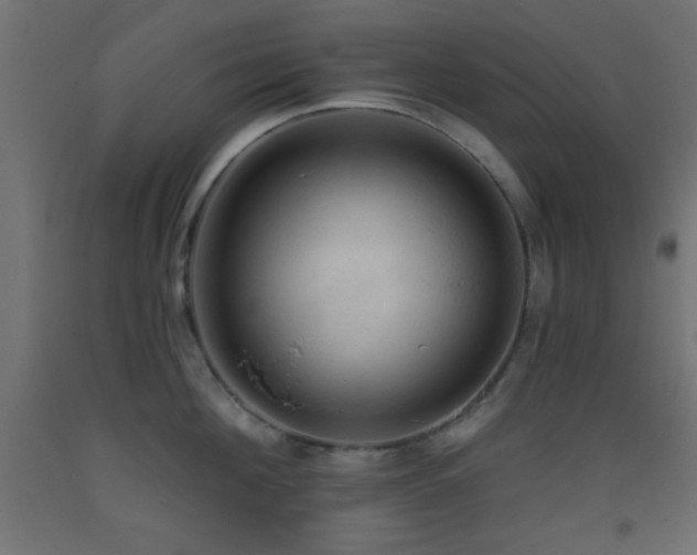 X0000093380908200710111453