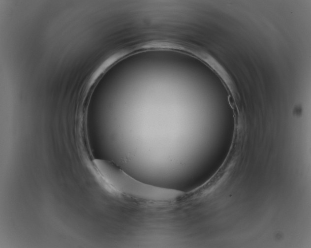 X0000093380909200710111453