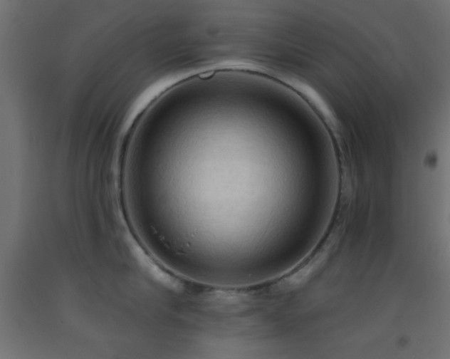 X0000093380910200710111453