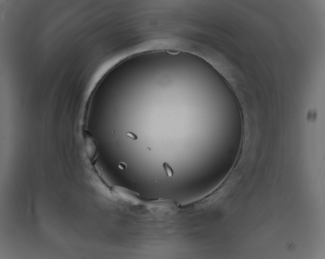 X0000093380912200710111453