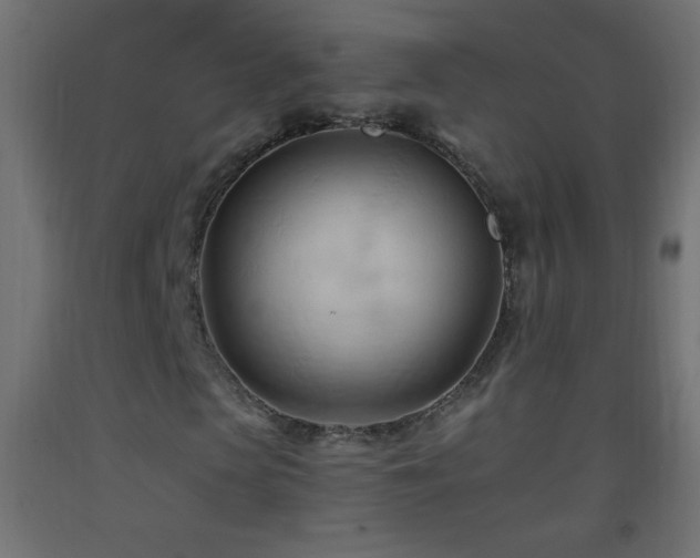 X0000093380913200710111452