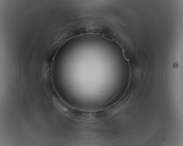 X0000093380914200710111452