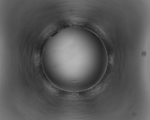 X0000093380915200710111452
