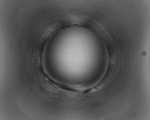 X0000093380916200710111452
