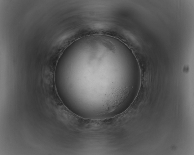X0000093380917200710111452
