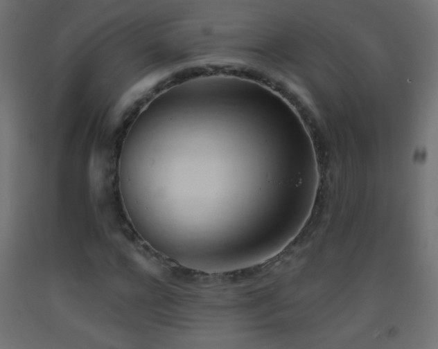 X0000093380920200710111452