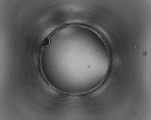 X0000093380921200710111452