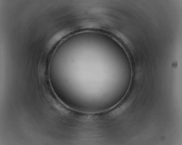 X0000093380922200710111452