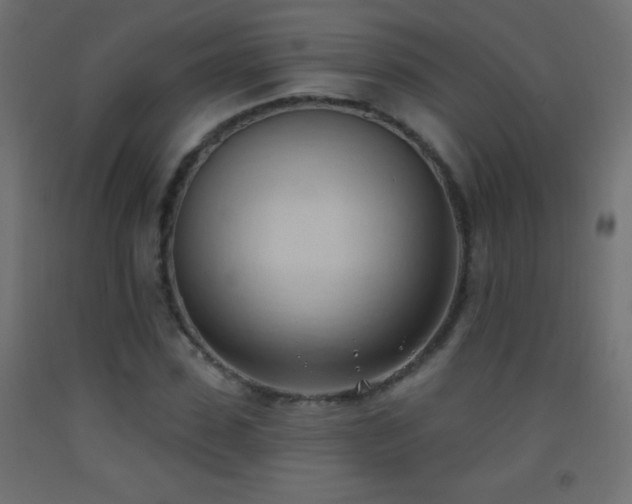 X0000093380923200710111452