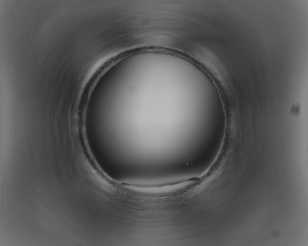 X0000093380924200710111452