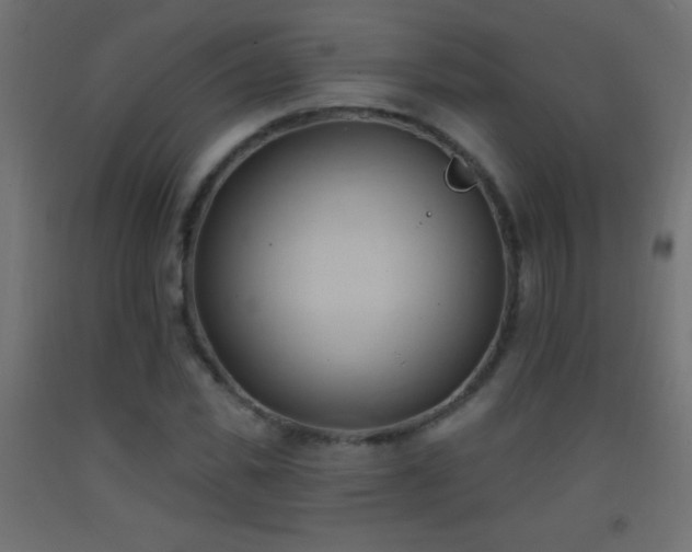 X0000093380925200710111452