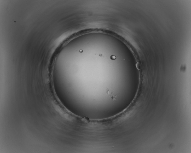X0000093380927200710111452